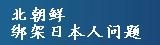 北朝鲜绑架日本人问题