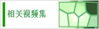 相关视频集