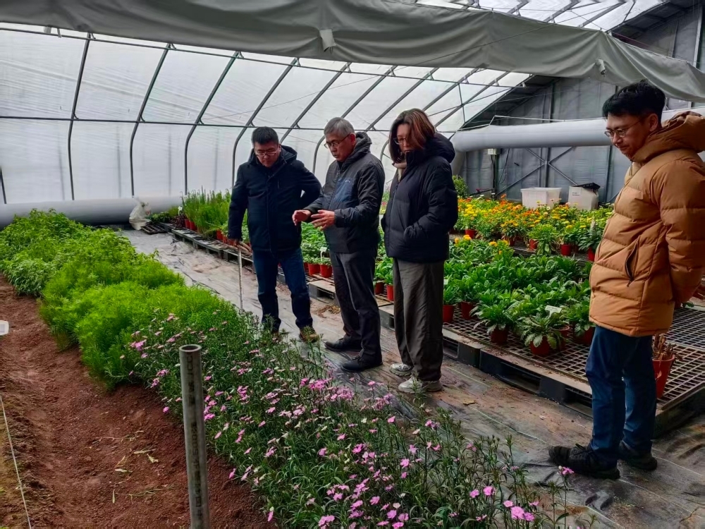 写真の代替テキスト